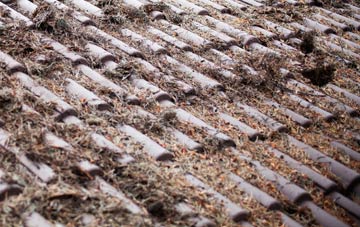 Frisby On The Wreake roof cleaning companies