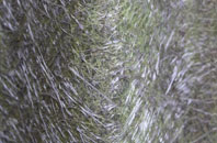 Frisby On The Wreake fibreglass roof work